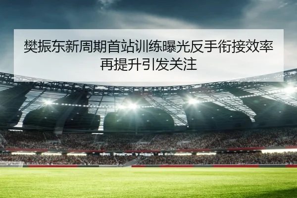 樊振东新周期首站训练曝光反手衔接效率再提升引发关注